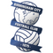 Birmingham City logo